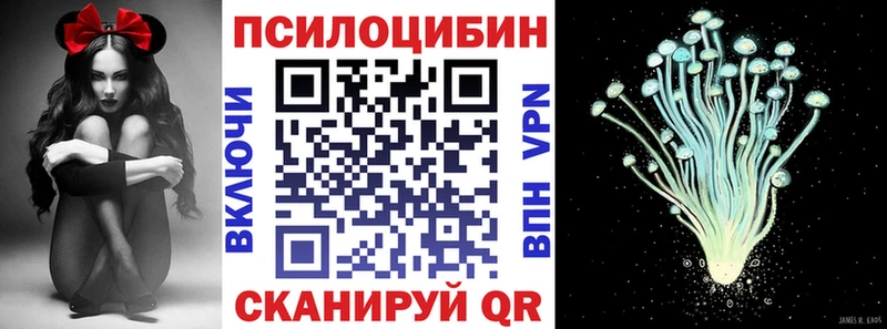 Купить где  Колпашево  Псилоцибиновые грибы прущие грибы 